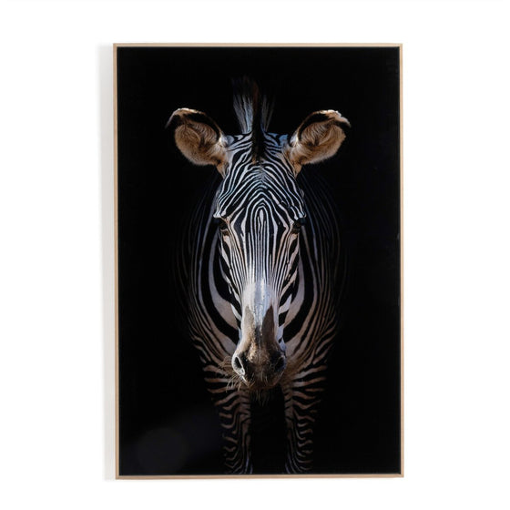 Zebra Stare, 48" x 72"