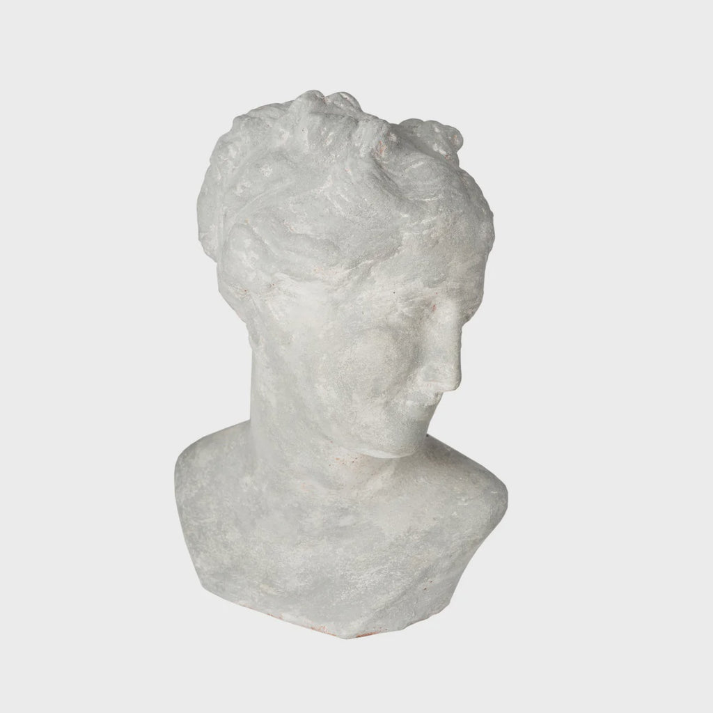 Venus Bust Gray Pompei