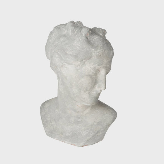 Venus Bust Gray Pompei
