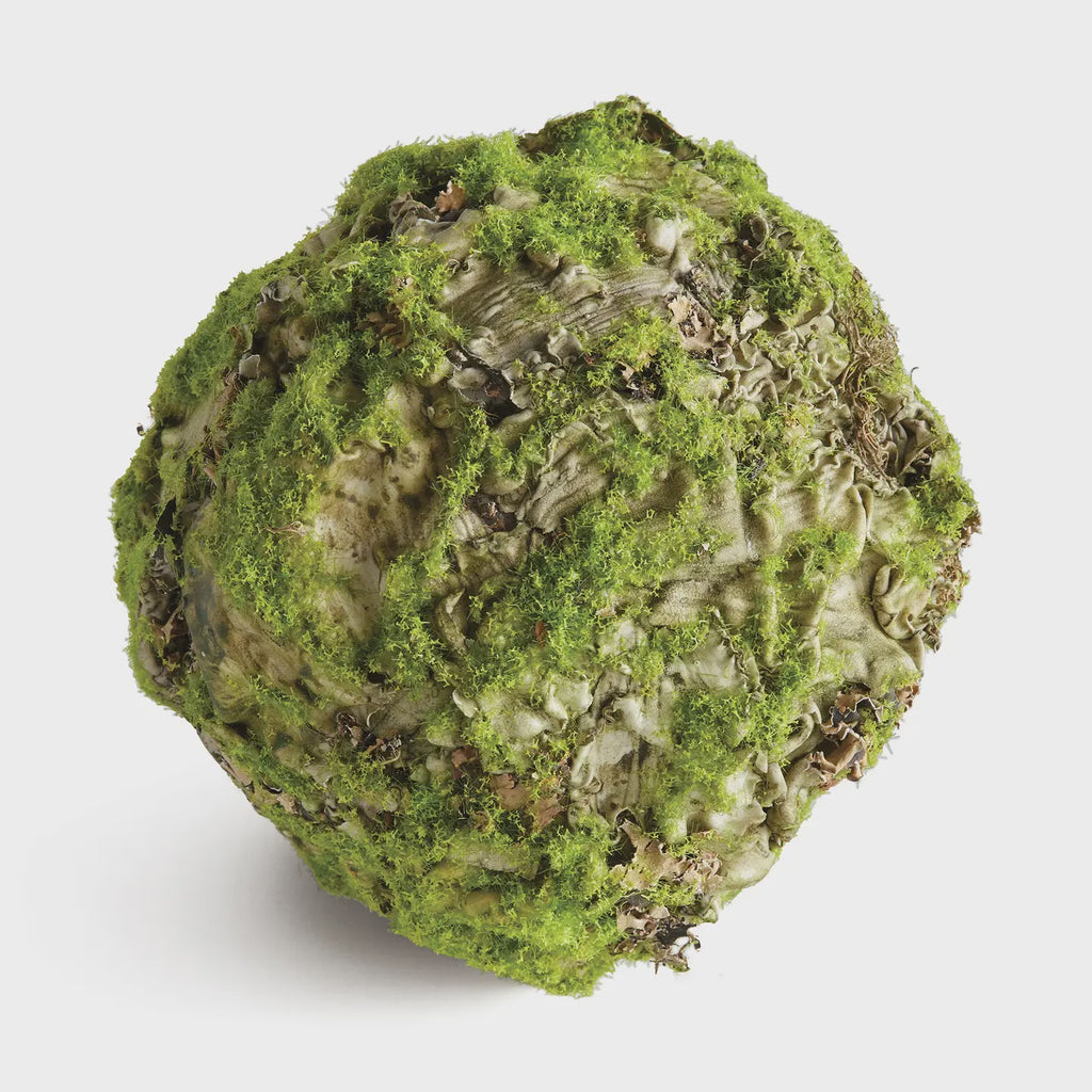 Mossy Lichen Orb 6.5"