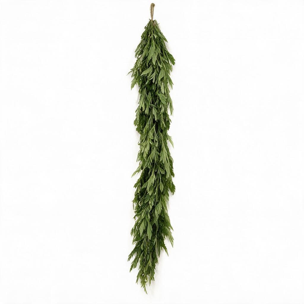 72" x 16" Norfolk Pine Garland