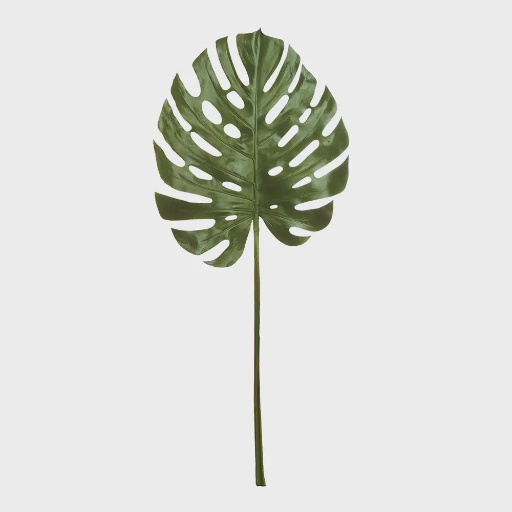 Monstera Leaf Stem, 49"
