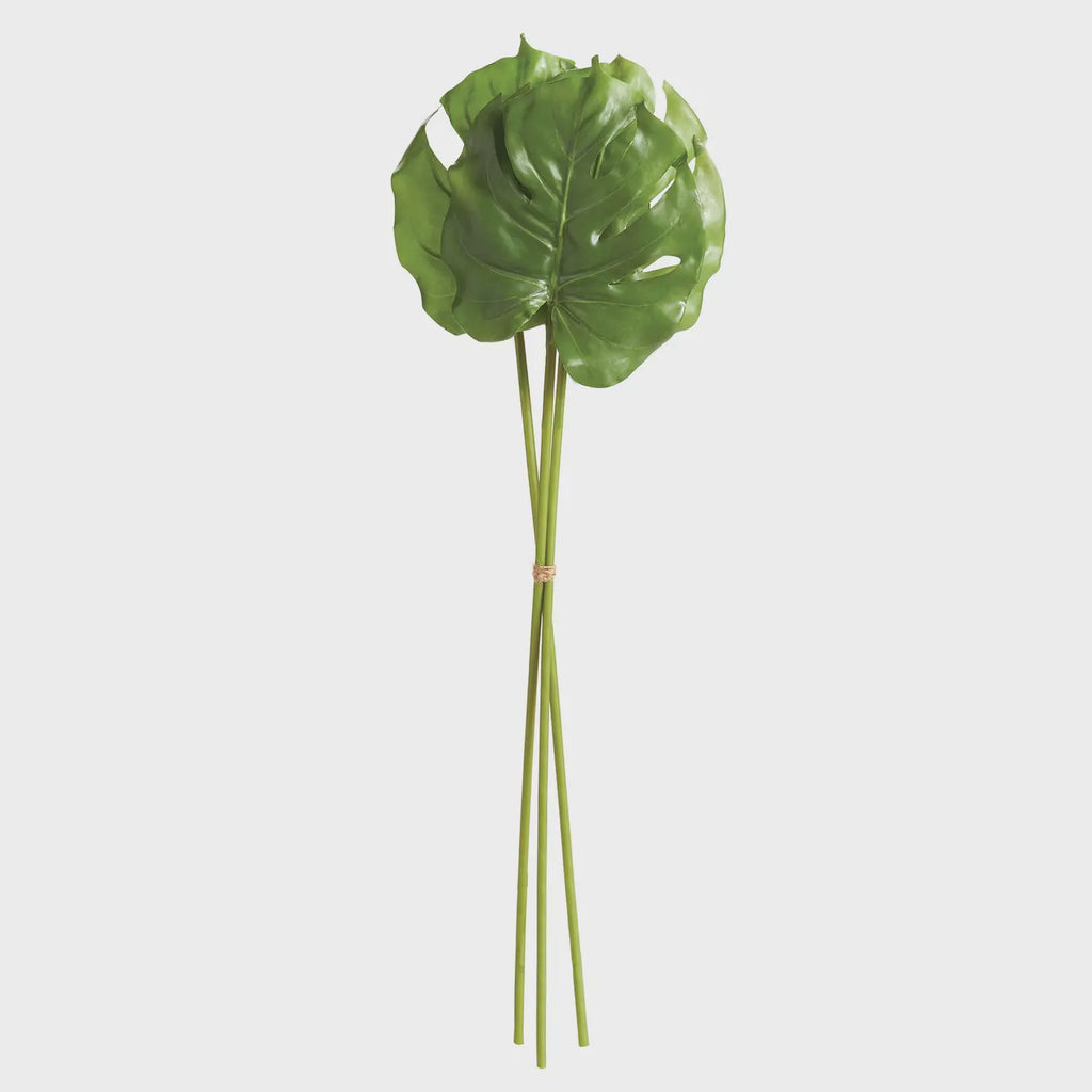 Monstera Leaf Stems, 25.5"