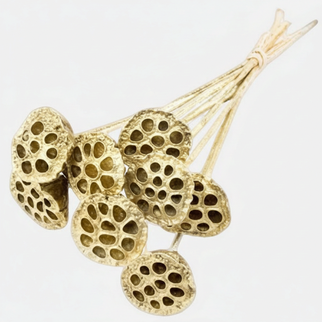 Gold Lotus Pod Bundle - 20"