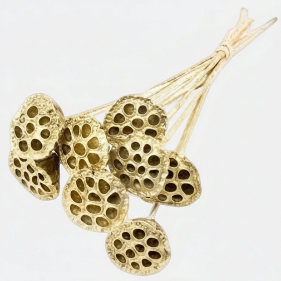 Gold Lotus Pod Bundle - 20"