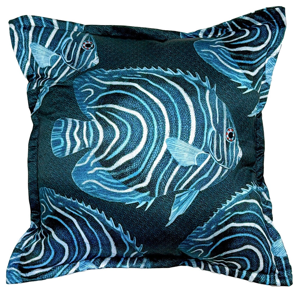 Emperor Angel Fish/A