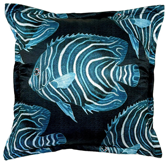 Emperor Angel Fish/B