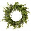 24" LED Norfolk Pine Wreath