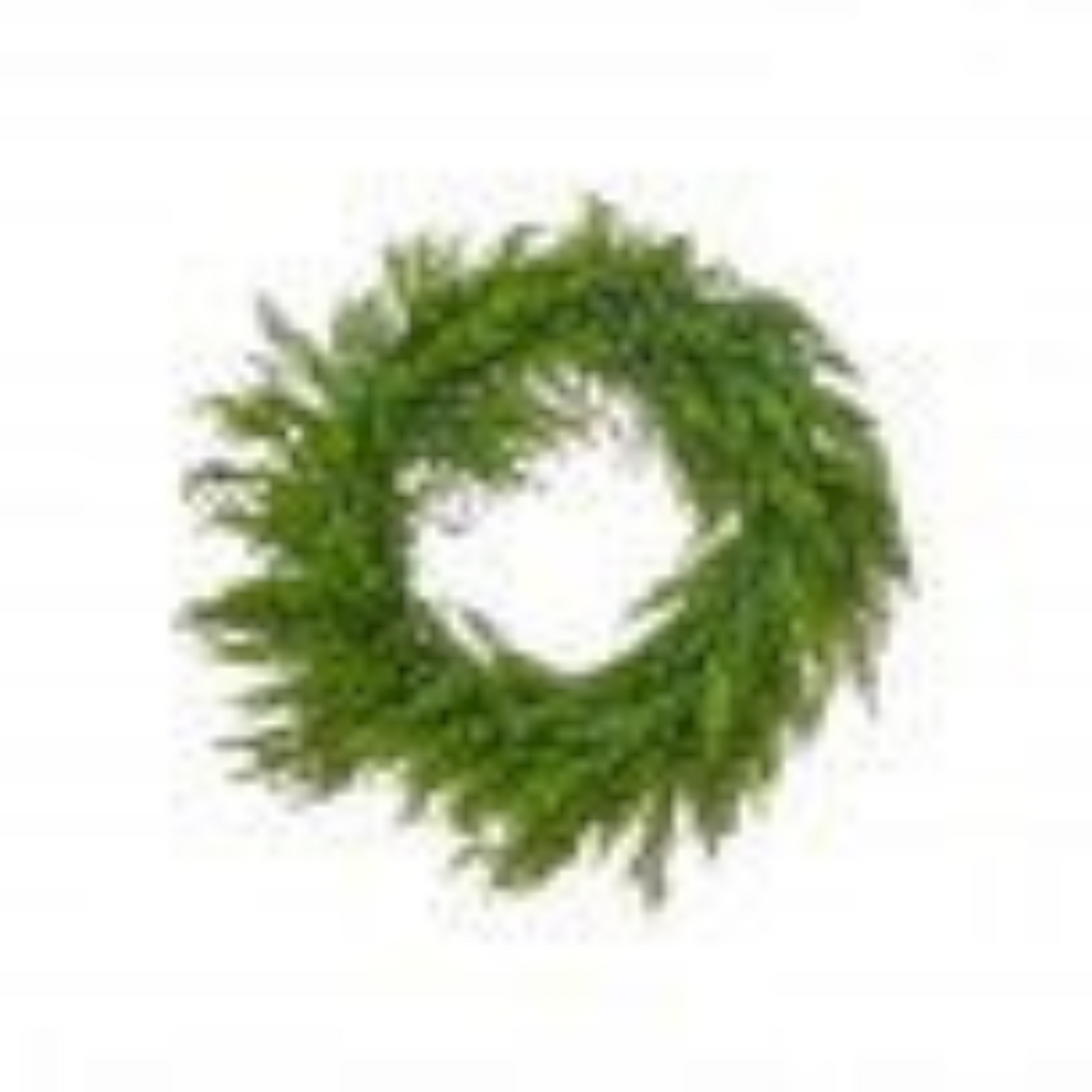 Citrine Home 30-inch Norfolk pine holiday wreath with realistic green cedar and pine foliage
