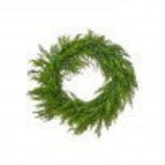 Citrine Home 30-inch Norfolk pine holiday wreath with realistic green cedar and pine foliage