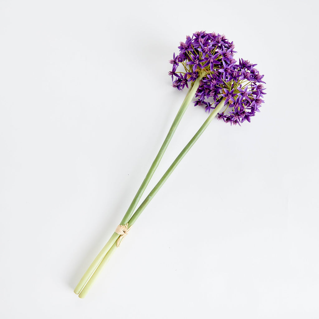 Allium stems 19", bundle of 3