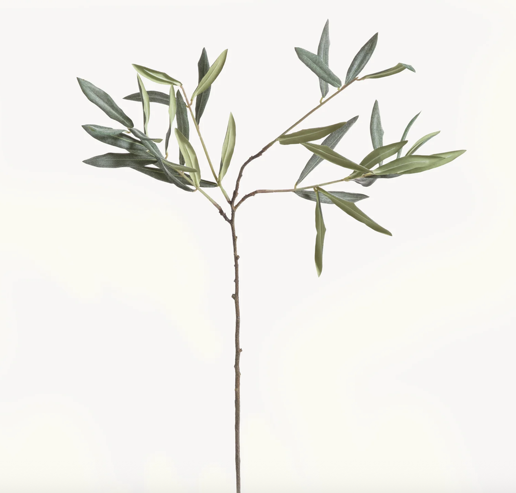 Olive Stem/30"