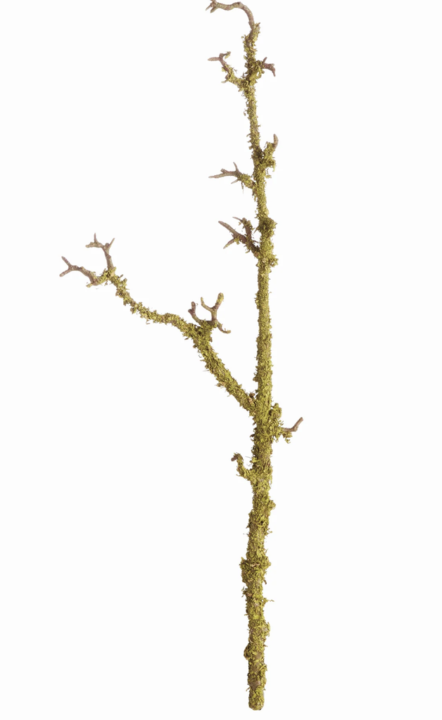 Lichen Branches/28"