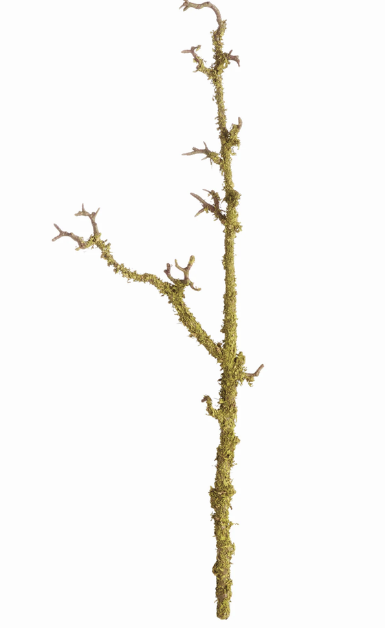 Lichen Branches/28"