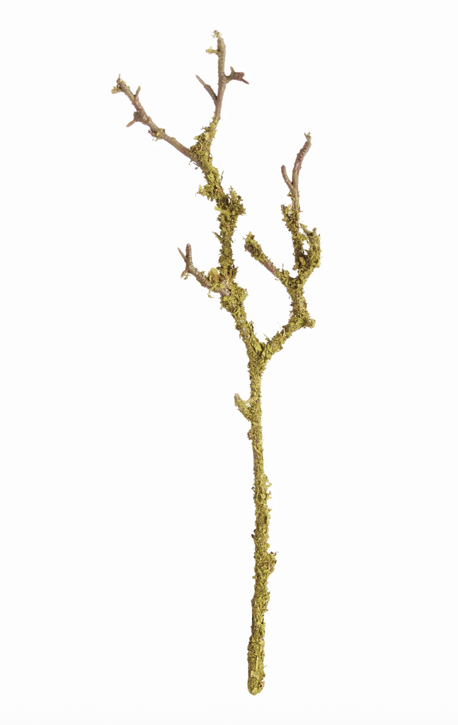 Lichen Branches/17"