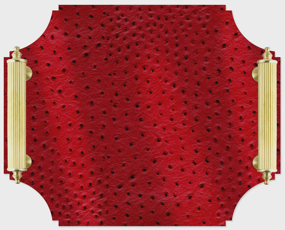 Red Ostrich Small Tray
