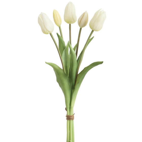 Cream Dutch Tulip Bouquet - 16"