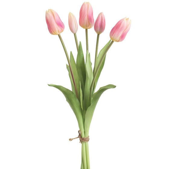 Pink Dutch Tulip Bouquet - 16"