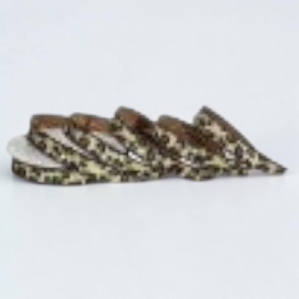 Citrine Home 1-inch wide faux leather ribbon featuring a beige and brown safari animal print pattern