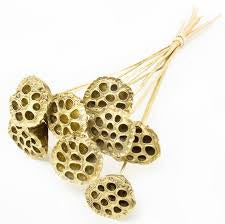 Gold Lotus Pod Bundle - 20"