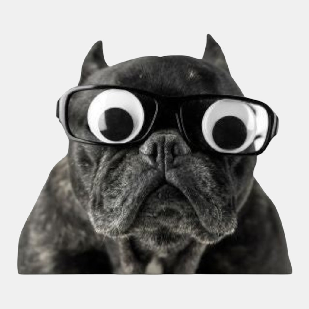 Googly Eyes