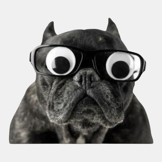 Googly Eyes