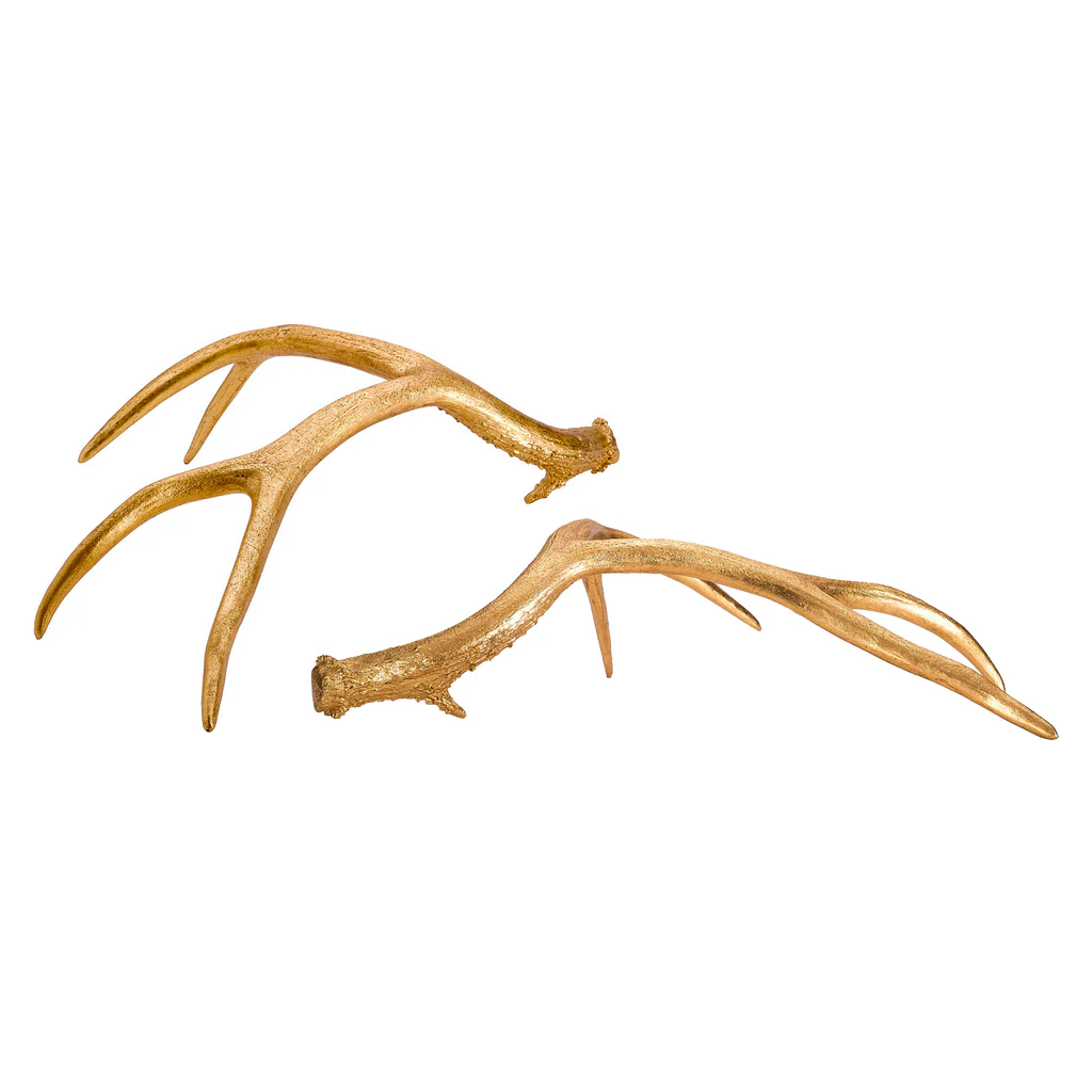 Golden Antlers- S/2