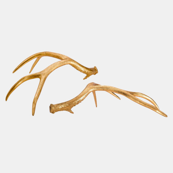 Golden Antlers- S/2