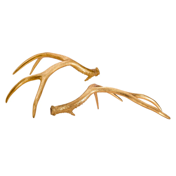 Golden Antlers- S/2