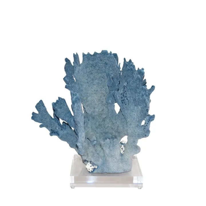 Blue Coral, Sm