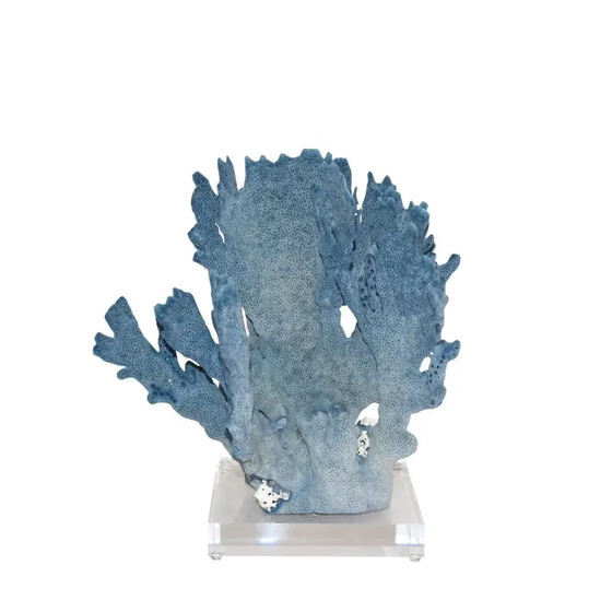 Blue Coral, Sm