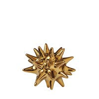 Gold Urchin Sm