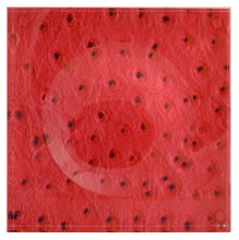 Red Ostrich Trinket