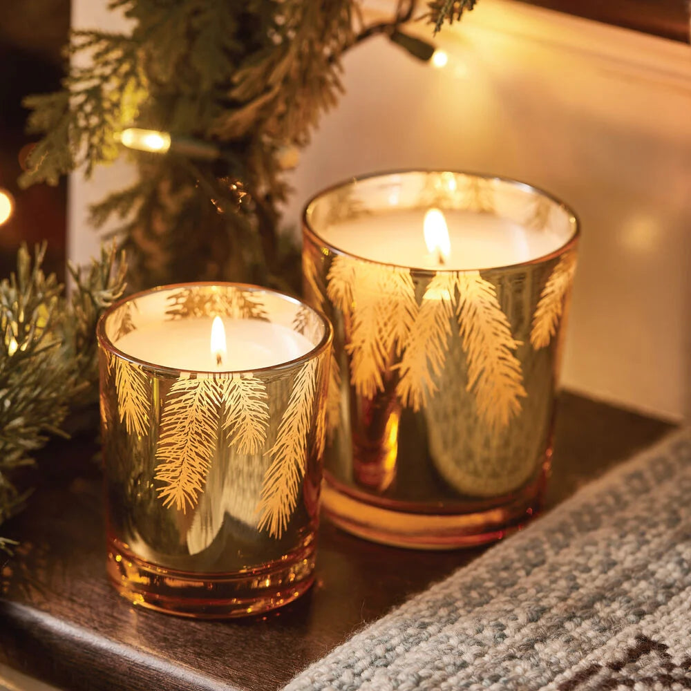 Frasier Fir Gilded  Poured Candle