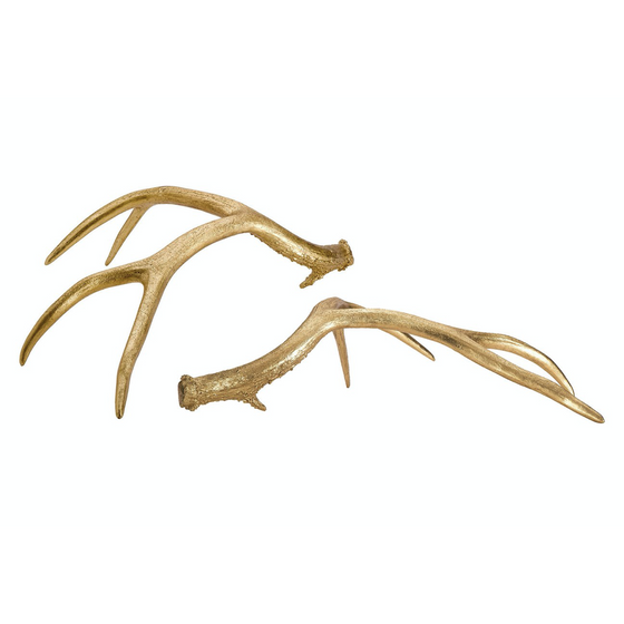 Golden Antlers, Set of 2
